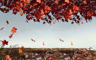 澳网里德布劳内的换人时机有点怪，数据异常到，体彩数据有说法