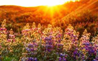 热火这场踢得像换了魂一回头就懂又来了有点狠现场说真的？