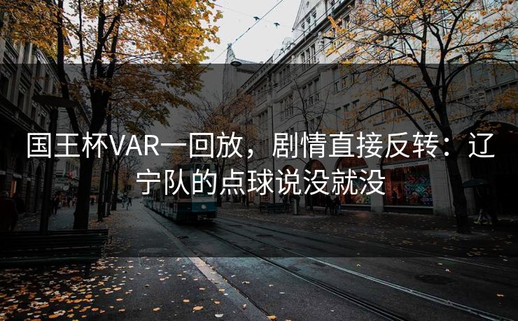 国王杯VAR一回放，剧情直接反转：辽宁队的点球说没就没