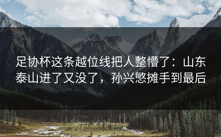 足协杯这条越位线把人整懵了：山东泰山进了又没了，孙兴慜摊手到最后